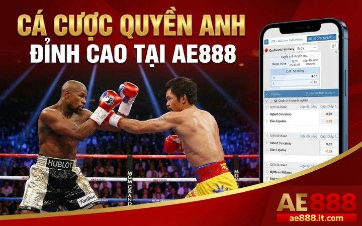 Giới thiệu cá cược Quyền Anh tại AE888 Giới thiệu cá cược Quyền Anh tại AE888
